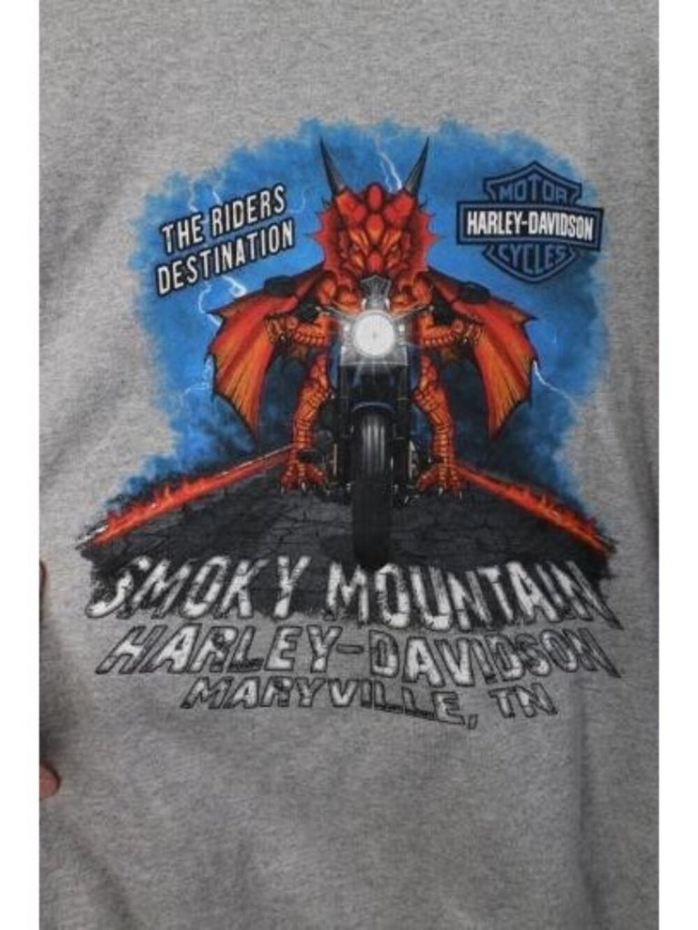 Y2K Harley Davidson Mens XL Spell Out Lightning Drago… - Gem